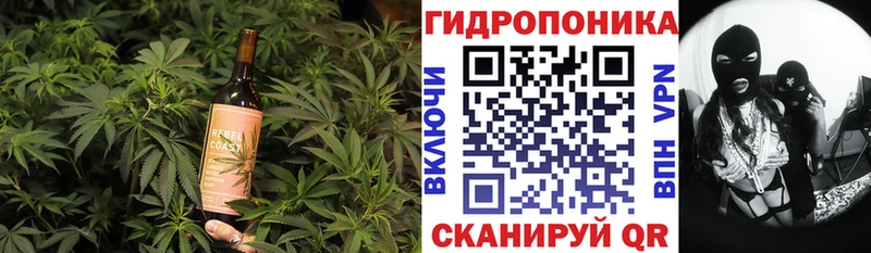 Cannafood конопля  blacksprut вход  Хадыженск  где купить  