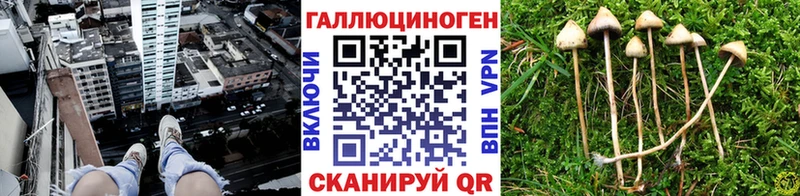 где купить наркоту  Хадыженск  Галлюциногенные грибы Magic Shrooms 